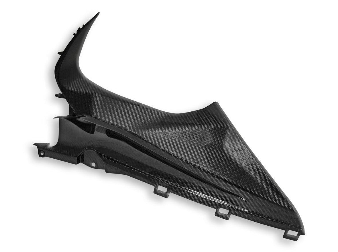 CRB113 - DBK BMW S1000RR (2019+) Carbon Infil Panels – Accessories in the Motodeal Motorcycle Aftermarket Accessories and Parts Online Shop
