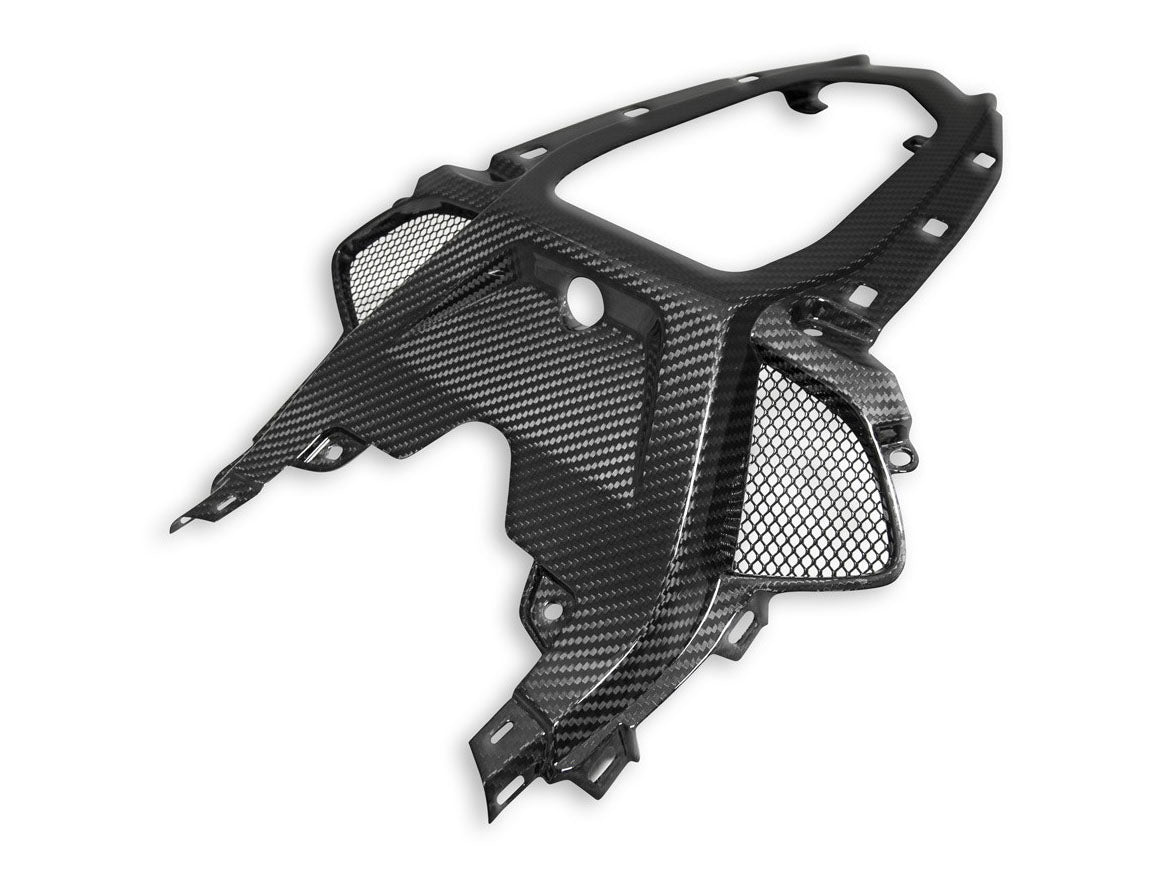 CRB118 - DBK BMW M1000RR / S1000RR Carbon Passenger Seat Support – Accessories in the Motodeal Motorcycle Aftermarket Accessories and Parts Online Shop