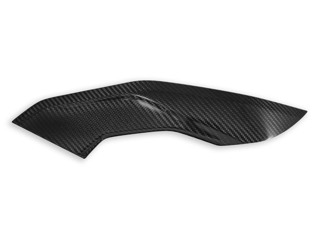 CRB139 - DBK BMW M1000R / S1000R (2021+) Carbon Side Panels (pair) – Accessories in the Motodeal Motorcycle Aftermarket Accessories and Parts Online Shop