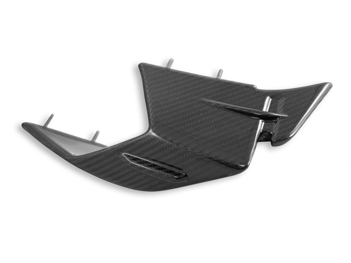 CRB142 - DBK BMW S1000RR (2023+) Carbon Winglets (pair) – Accessories in the Motodeal Motorcycle Aftermarket Accessories and Parts Online Shop