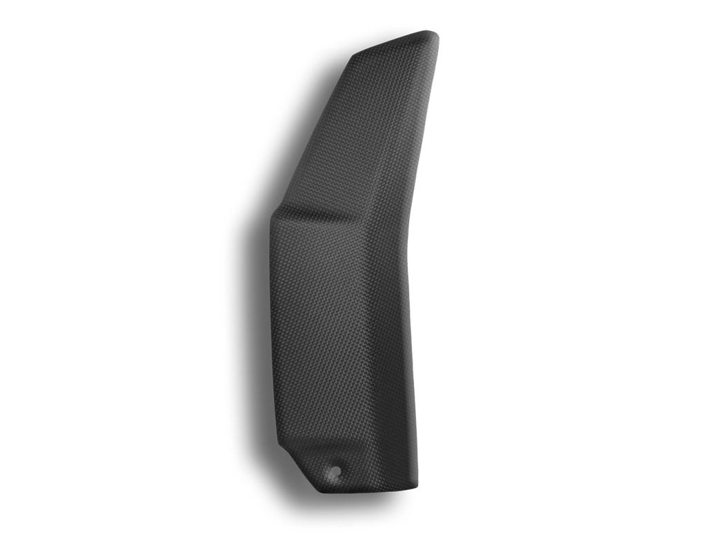 CRB37O - DBK Ducati Streetfighter V4 / V4S / V4 SP (2020+) Carbon High Side Panels (Pair) – Accessories in the Motodeal Motorcycle Aftermarket Accessories and Parts Online Shop