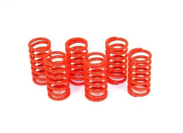 6M01 - DUCABIKE Ducati Dry Clutch Springs – Accessories in the Motodeal Motorcycle Aftermarket Accessories and Parts Online Shop