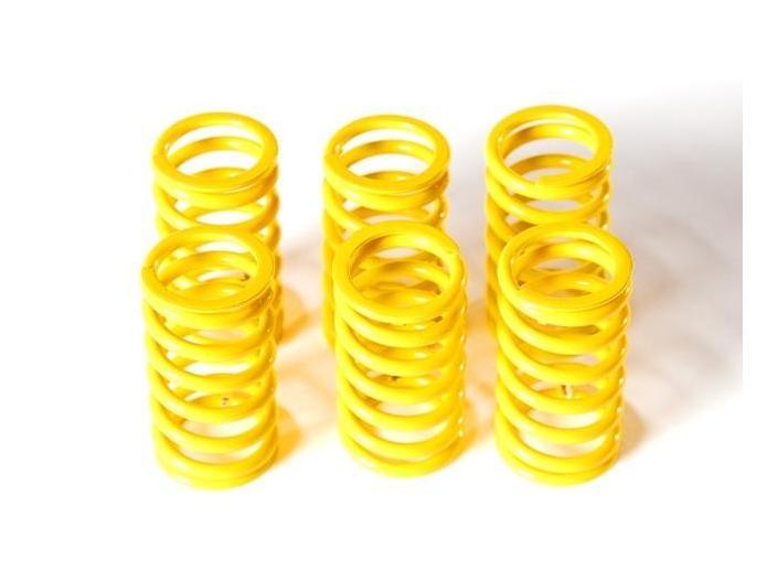 6M01 - DUCABIKE Ducati Dry Clutch Springs – Accessories in the Motodeal Motorcycle Aftermarket Accessories and Parts Online Shop