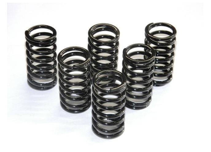 6M01 - DUCABIKE Ducati Dry Clutch Springs – Accessories in the Motodeal Motorcycle Aftermarket Accessories and Parts Online Shop