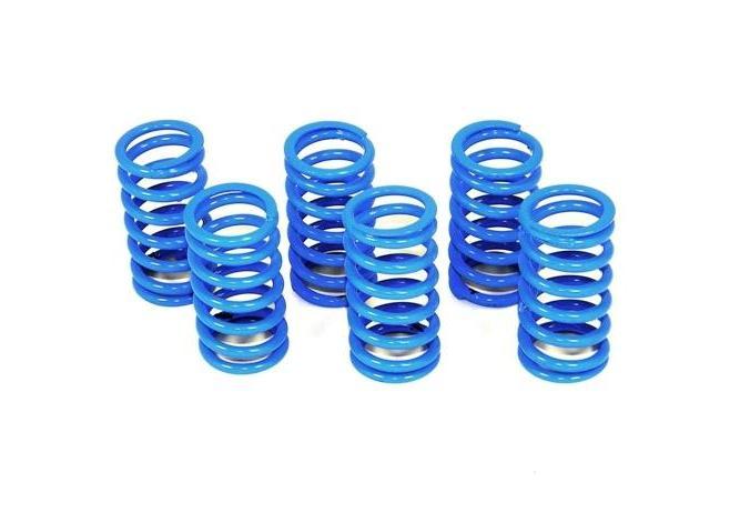 6M01 - DUCABIKE Ducati Dry Clutch Springs – Accessories in the Motodeal Motorcycle Aftermarket Accessories and Parts Online Shop