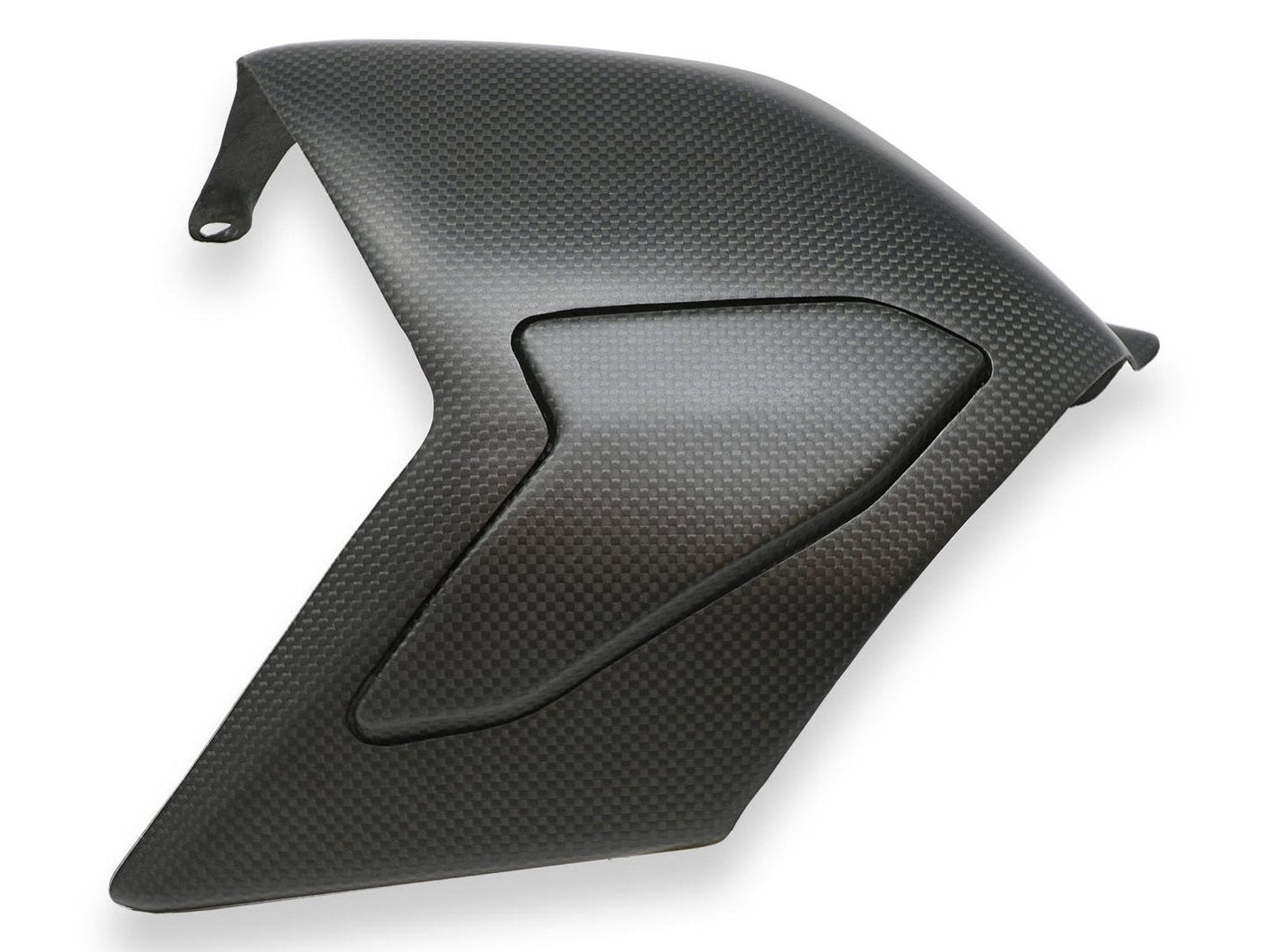 ZA864 - CNC RACING Ducati Panigale V4 (18/24) Carbon Swingarm Cover – Accessories in the Motodeal Motorcycle Aftermarket Accessories and Parts Online Shop