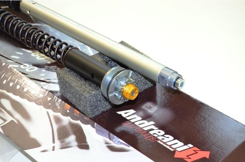 CFD105/D05 - ANDREANI Ducati Monster 696 Adjustable Hydraulic Fork Cartridge kit (for Marzocchi fork) – Accessories in the 2WheelsHero Motorcycle Aftermarket Accessories and Parts Online Shop