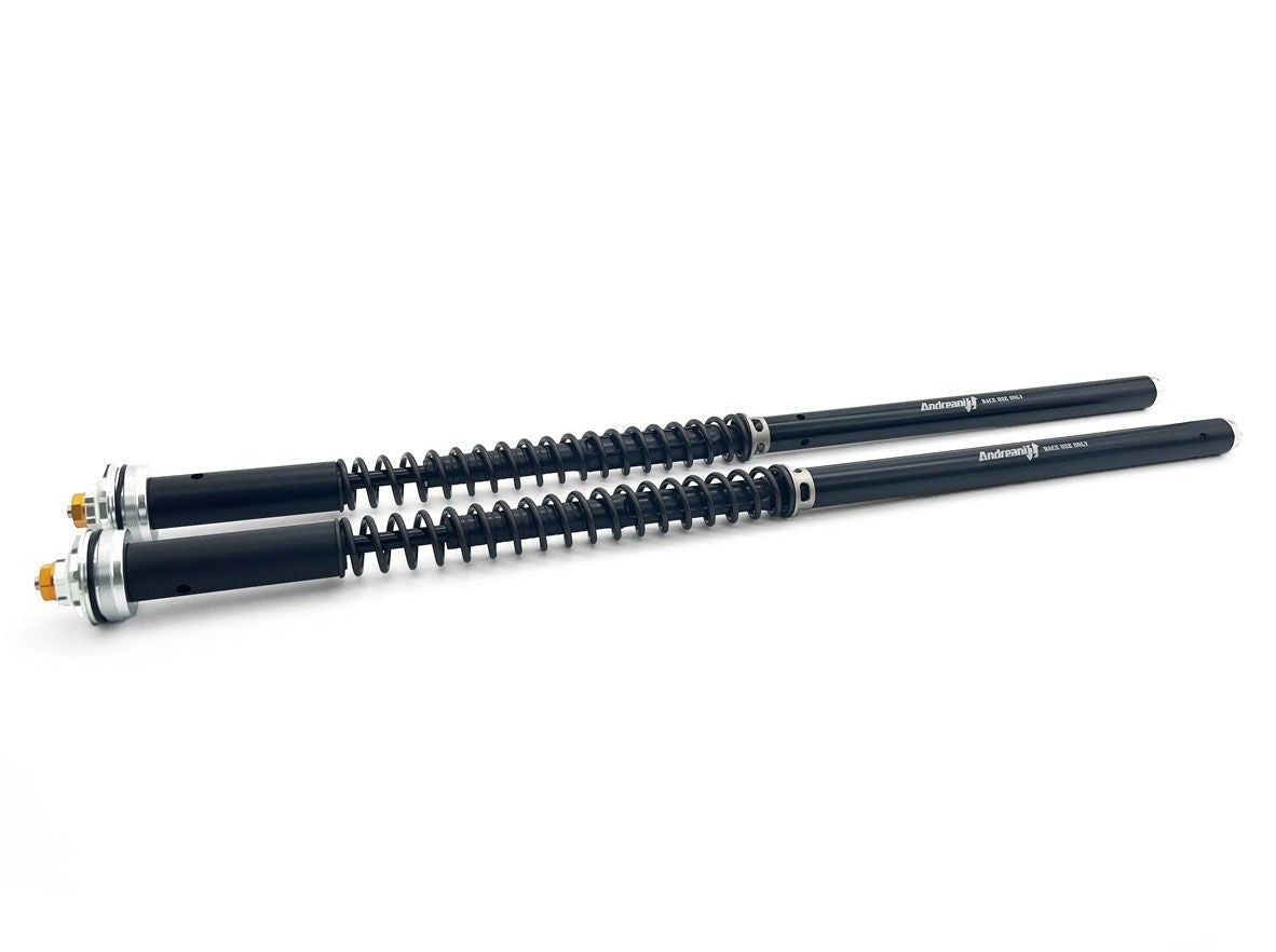 ANDREANI CFD105/A11E Aprilia RS 660 (2020+) Adjustable Hydraulic Fork Cartridge Kit – Accessories in the 2WheelsHero Motorcycle Aftermarket Accessories and Parts Online Shop