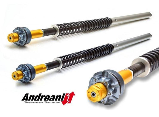 CFD105/D29 - ANDREANI Ducati Multistrada 950 Adjustable Hydraulic Fork Cartridge kit – Accessories in the 2WheelsHero Motorcycle Aftermarket Accessories and Parts Online Shop
