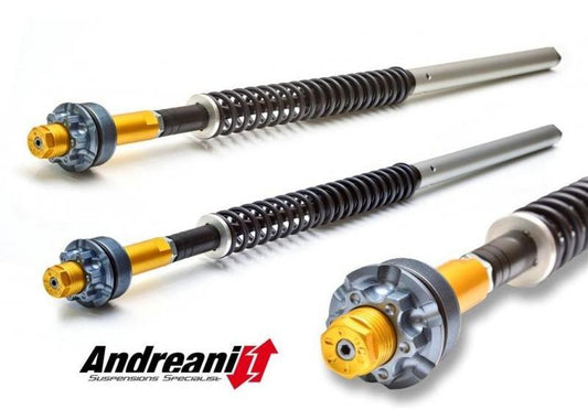CFD105/D06 - ANDREANI Ducati Diavel Adjustable Hydraulic Fork Cartridge kit – Accessories in the 2WheelsHero Motorcycle Aftermarket Accessories and Parts Online Shop