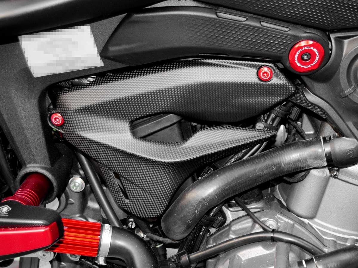 CRB03 - DUCABIKE Ducati Monster 950 (2021+) Carbon Fairing Side Covers – Accessories in the Motodeal Motorcycle Aftermarket Accessories and Parts Online Shop