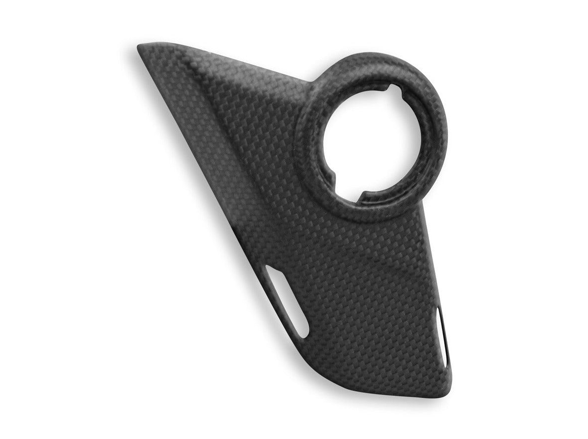 CRB100 - DBK Ducati Multistrada V4 (2021+) Carbon Side Panels – Accessories in the Motodeal Motorcycle Aftermarket Accessories and Parts Online Shop