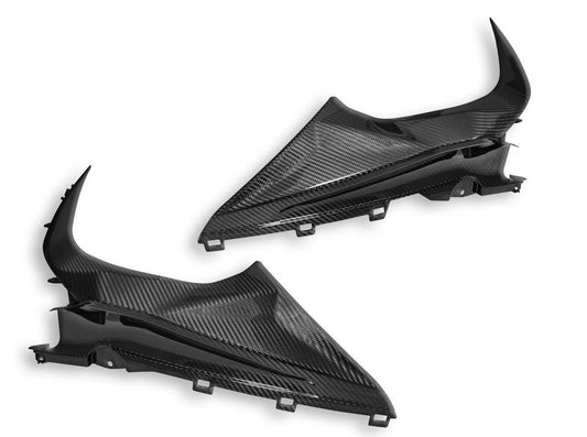 CRB113 - DBK BMW S1000RR (2019+) Carbon Infil Panels – Accessories in the Motodeal Motorcycle Aftermarket Accessories and Parts Online Shop