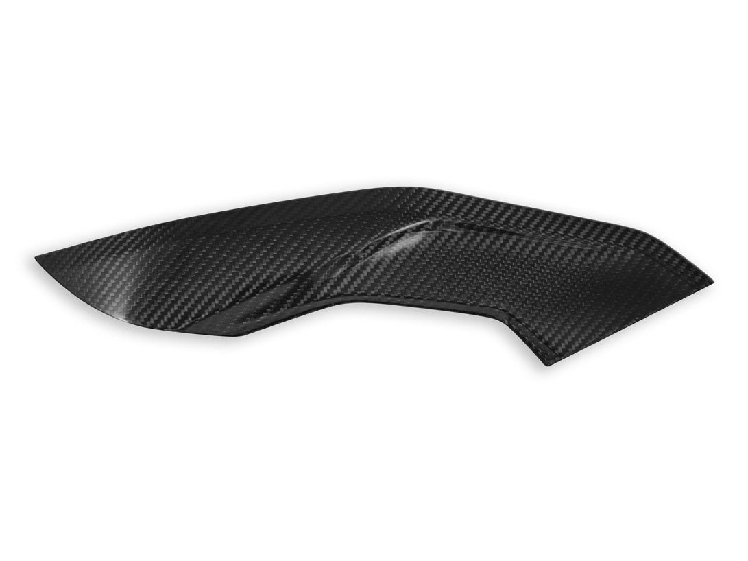 CRB139 - DBK BMW M1000R / S1000R (2021+) Carbon Side Panels (pair) – Accessories in the Motodeal Motorcycle Aftermarket Accessories and Parts Online Shop