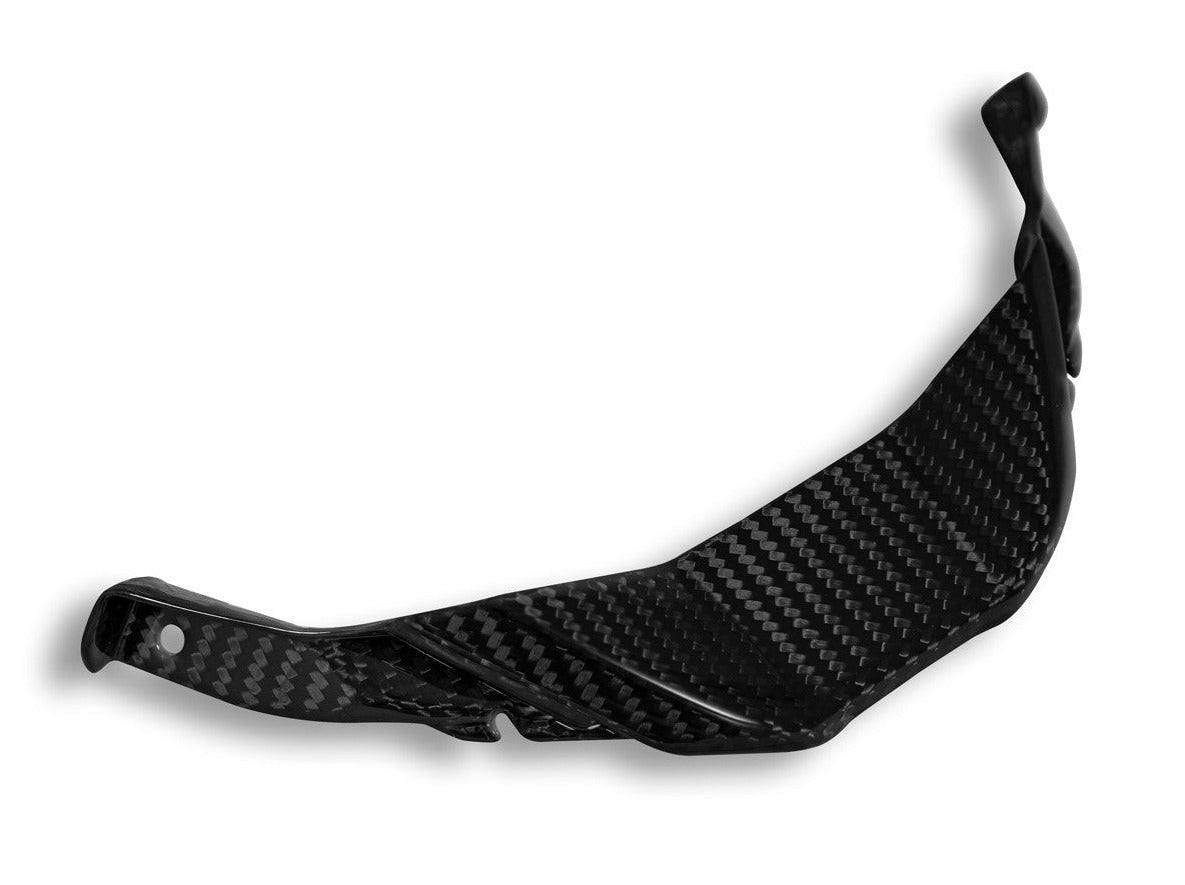 CRB143 - DBK BMW S1000RR / M1000RR (2023+) Carbon Front Lip – Accessories in the Motodeal Motorcycle Aftermarket Accessories and Parts Online Shop