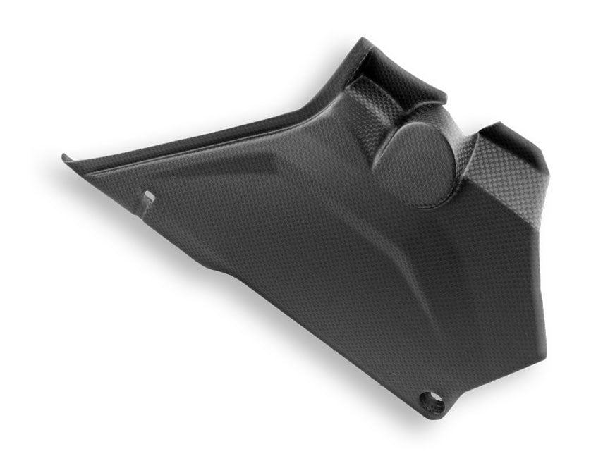 CRB66O - DBK Ducati DesertX 937 / Rally (2022+) Carbon Side Panels (Pair) – Accessories in the Motodeal Motorcycle Aftermarket Accessories and Parts Online Shop
