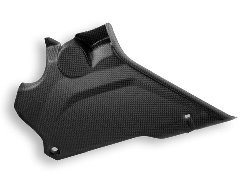 CRB66O - DBK Ducati DesertX 937 / Rally (2022+) Carbon Side Panels (Pair) – Accessories in the Motodeal Motorcycle Aftermarket Accessories and Parts Online Shop