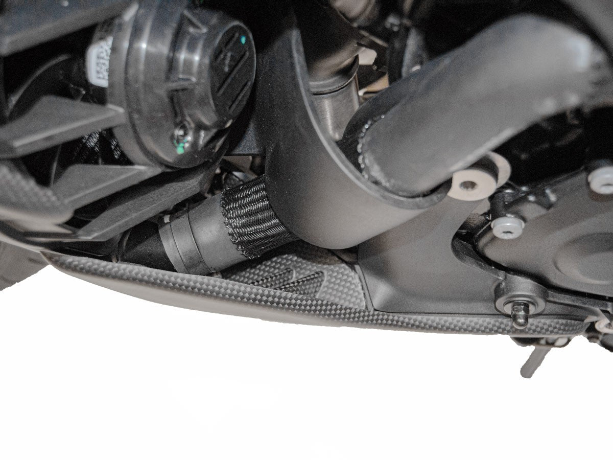 CRB72O - DUCABIKE Ducati Diavel V4 (2023+) Carbon Side Support – Accessories in the Motodeal Motorcycle Aftermarket Accessories and Parts Online Shop