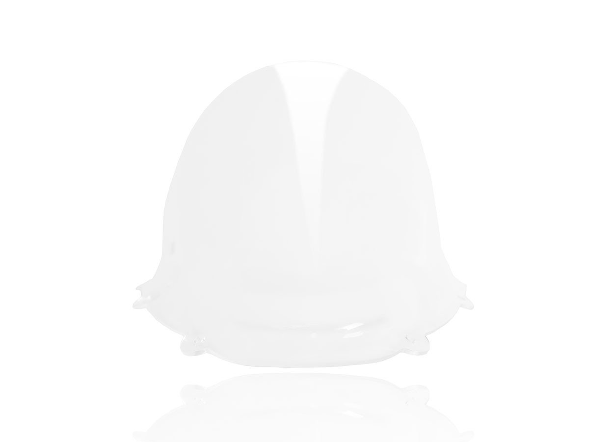 CUP11 - DUCABIKE Ducati Panigale 1299/959 High Racing Wind Screen – Accessories in the Motodeal Motorcycle Aftermarket Accessories and Parts Online Shop