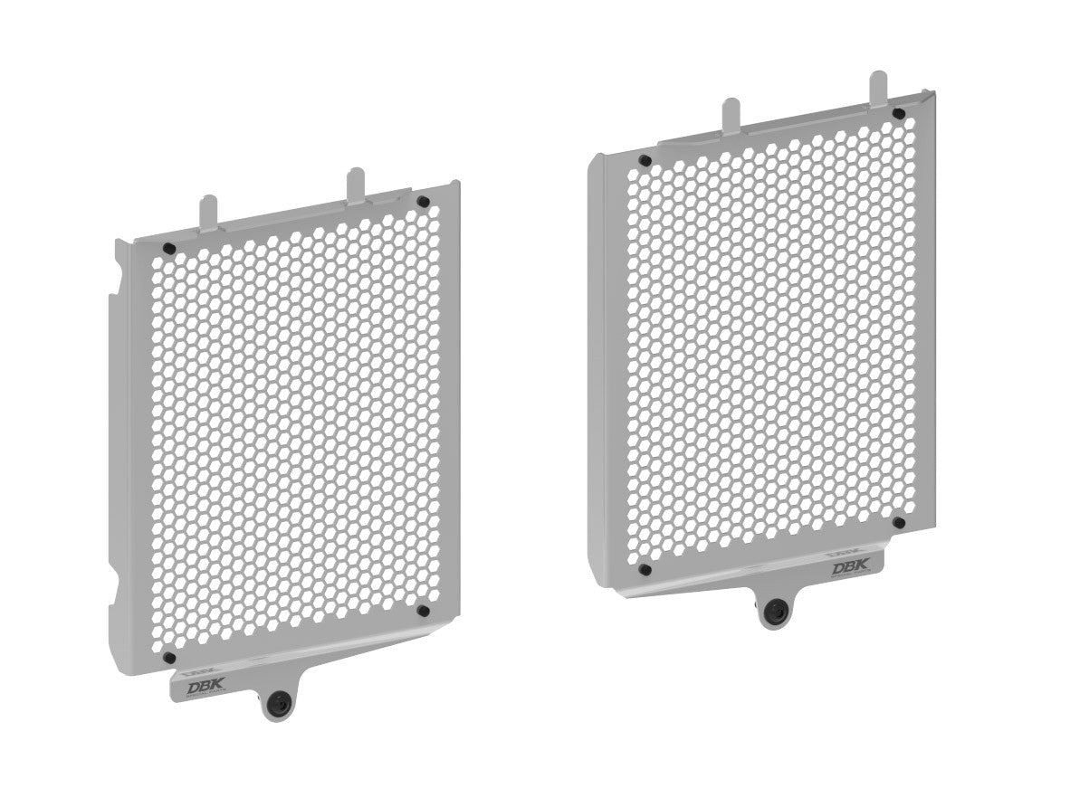 GR21 - DUCABIKE BMW R1300GS (2024+) Water Radiator Guard – Accessories in the Motodeal Motorcycle Aftermarket Accessories and Parts Online Shop