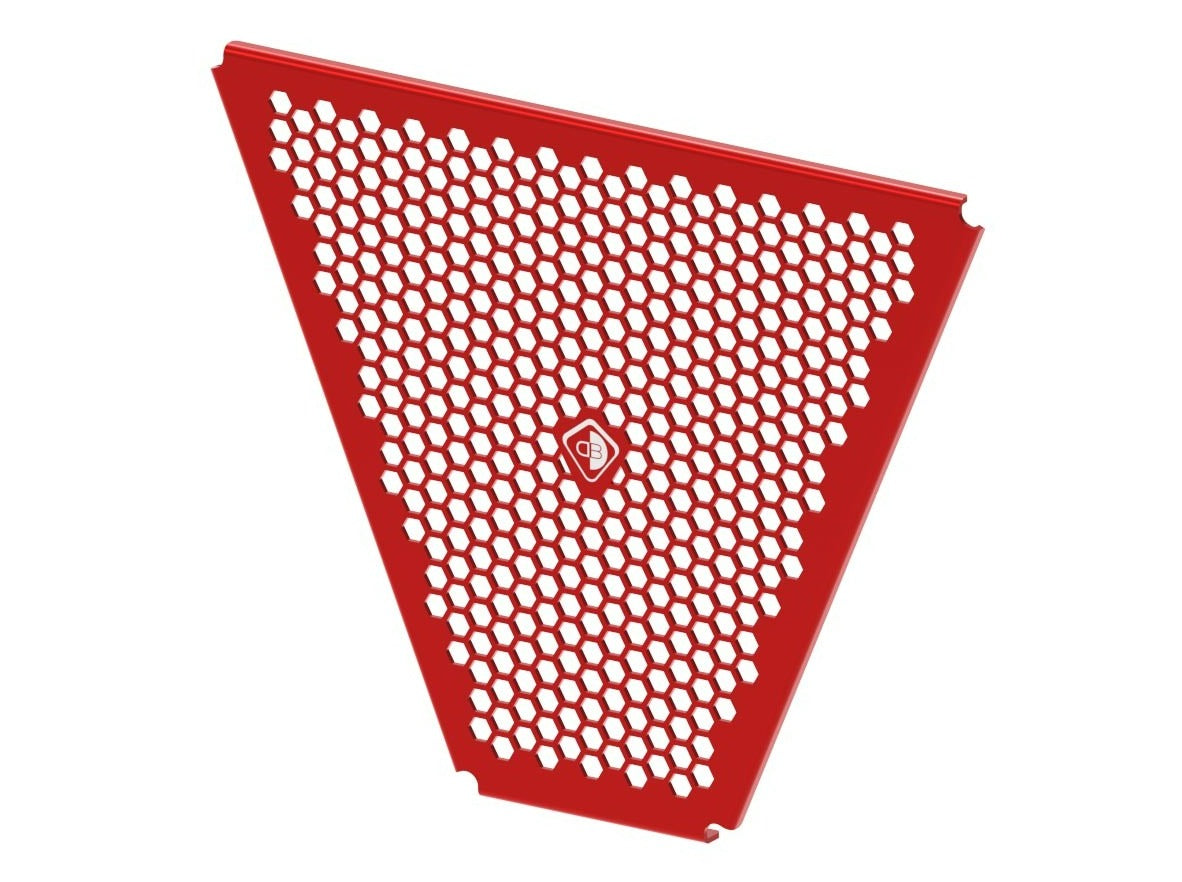 GR22 - DUCABIKE Ducati Panigale V4 / Streetfighter V4 Oil Radiator Guard – Accessories in the Motodeal Motorcycle Aftermarket Accessories and Parts Online Shop