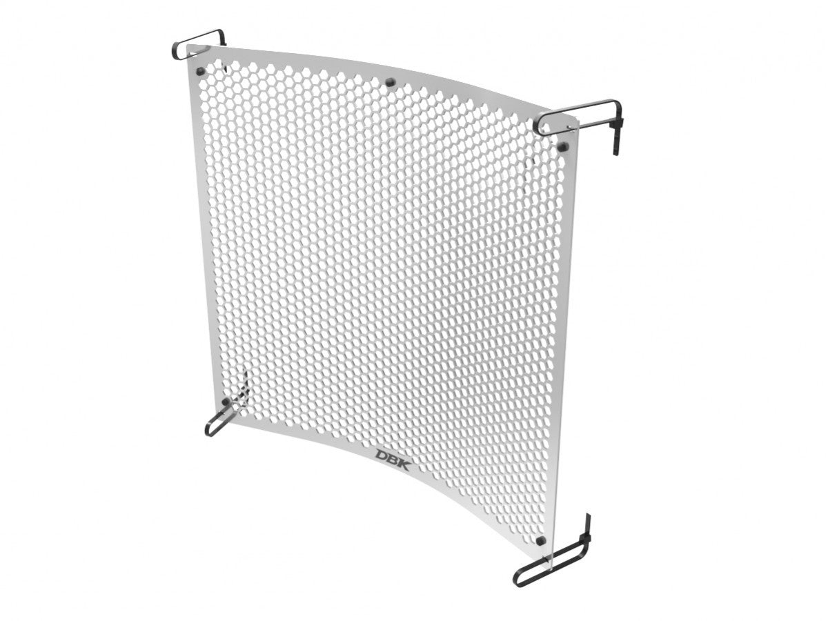 DBK DUCABIKE GR30 Triumph 765 (2023+) Radiator Guard – Accessories in the Motodeal Motorcycle Aftermarket Accessories and Parts Online Shop