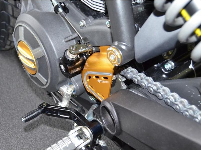 RPLC12 - DUCABIKE Ducati Scrambler / Monster 797 Shift Lever – Accessories in the Motodeal Motorcycle Aftermarket Accessories and Parts Online Shop