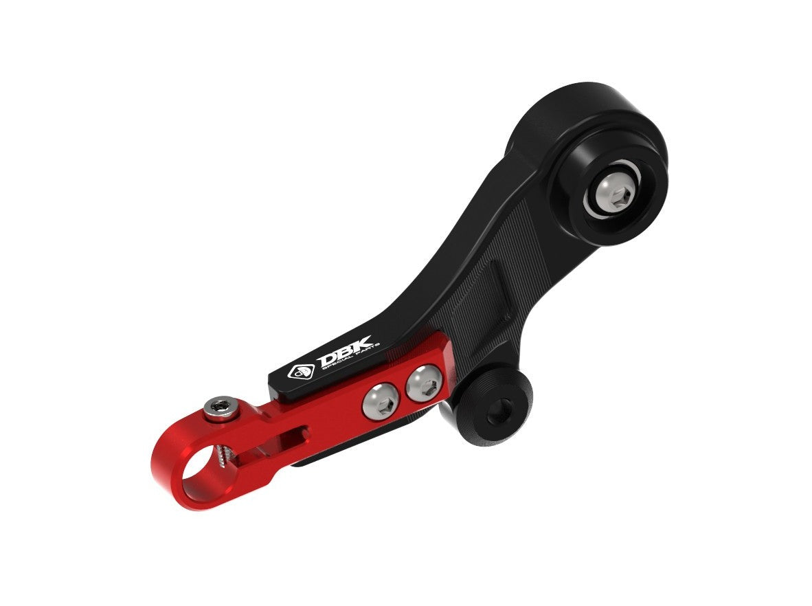 RPLC30 - DUCABIKE BMW R1300GS (2024+) Adjustable Gear Lever – Accessories in the Motodeal Motorcycle Aftermarket Accessories and Parts Online Shop