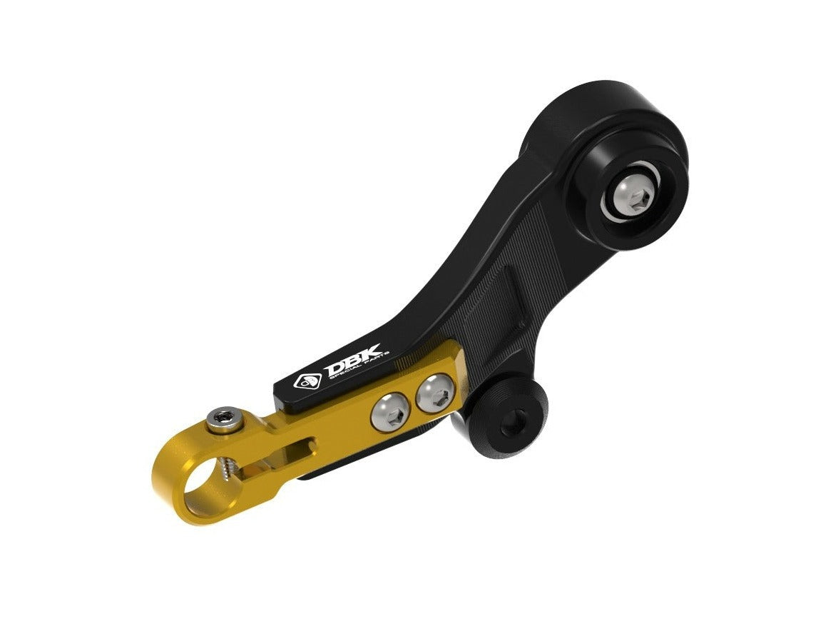 RPLC30 - DUCABIKE BMW R1300GS (2024+) Adjustable Gear Lever – Accessories in the Motodeal Motorcycle Aftermarket Accessories and Parts Online Shop