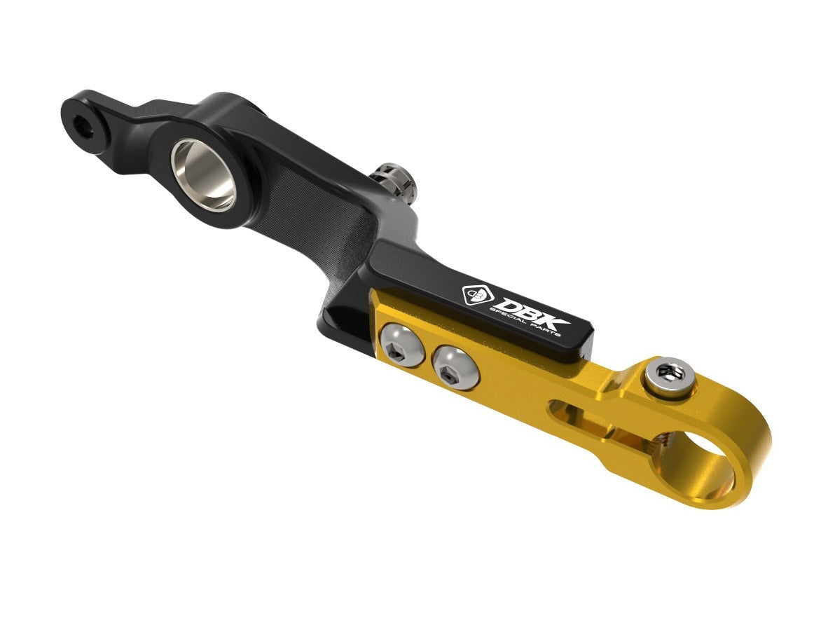 RPLF26 - DUCABIKE BMW R1300GS (2024+) Adjustable Brake Control Lever – Accessories in the Motodeal Motorcycle Aftermarket Accessories and Parts Online Shop