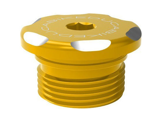 TIF02 - DBK Ducati Streetfighter V2 (2022+) Stage Inspection Cap – Accessories in the Motodeal Motorcycle Aftermarket Accessories and Parts Online Shop