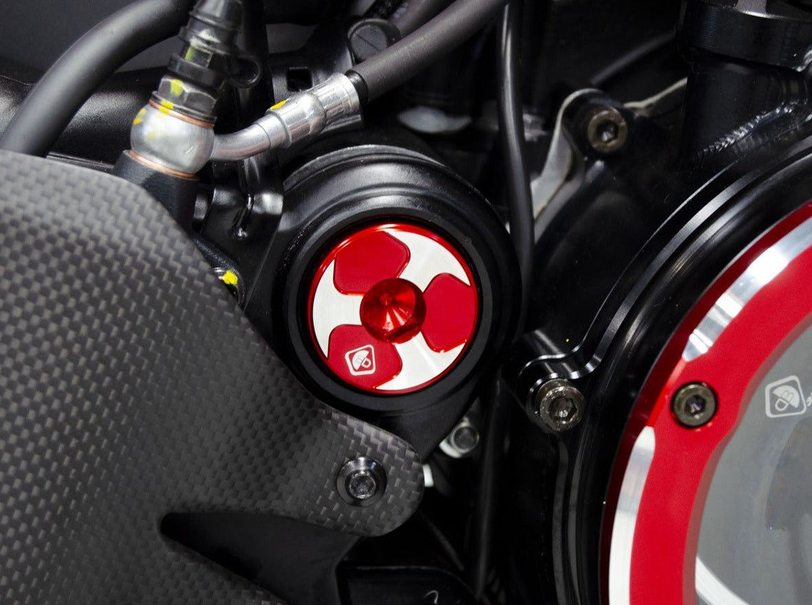 TTF08 - DBK Ducati Diavel V4 (2023+) Kit Central Frame Caps (swing arm) – Accessories in the Motodeal Motorcycle Aftermarket Accessories and Parts Online Shop