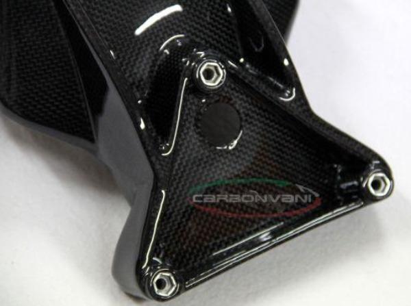 CARBONVANI MV Agusta Brutale (02/09) Carbon License Plate Holder