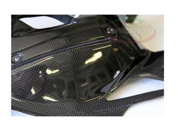 CARBONVANI MV Agusta F4 1000 (10/19) Carbon Swingarm Guard