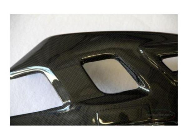 CARBONVANI MV Agusta F4 (00/08) Carbon Swingarm Guard