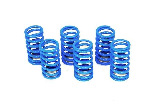 6M01 - DUCABIKE Ducati Dry Clutch Springs