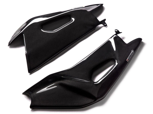 CARBON2RACE Aprilia Tuono V4 (15/20) Carbon Swingarm Covers