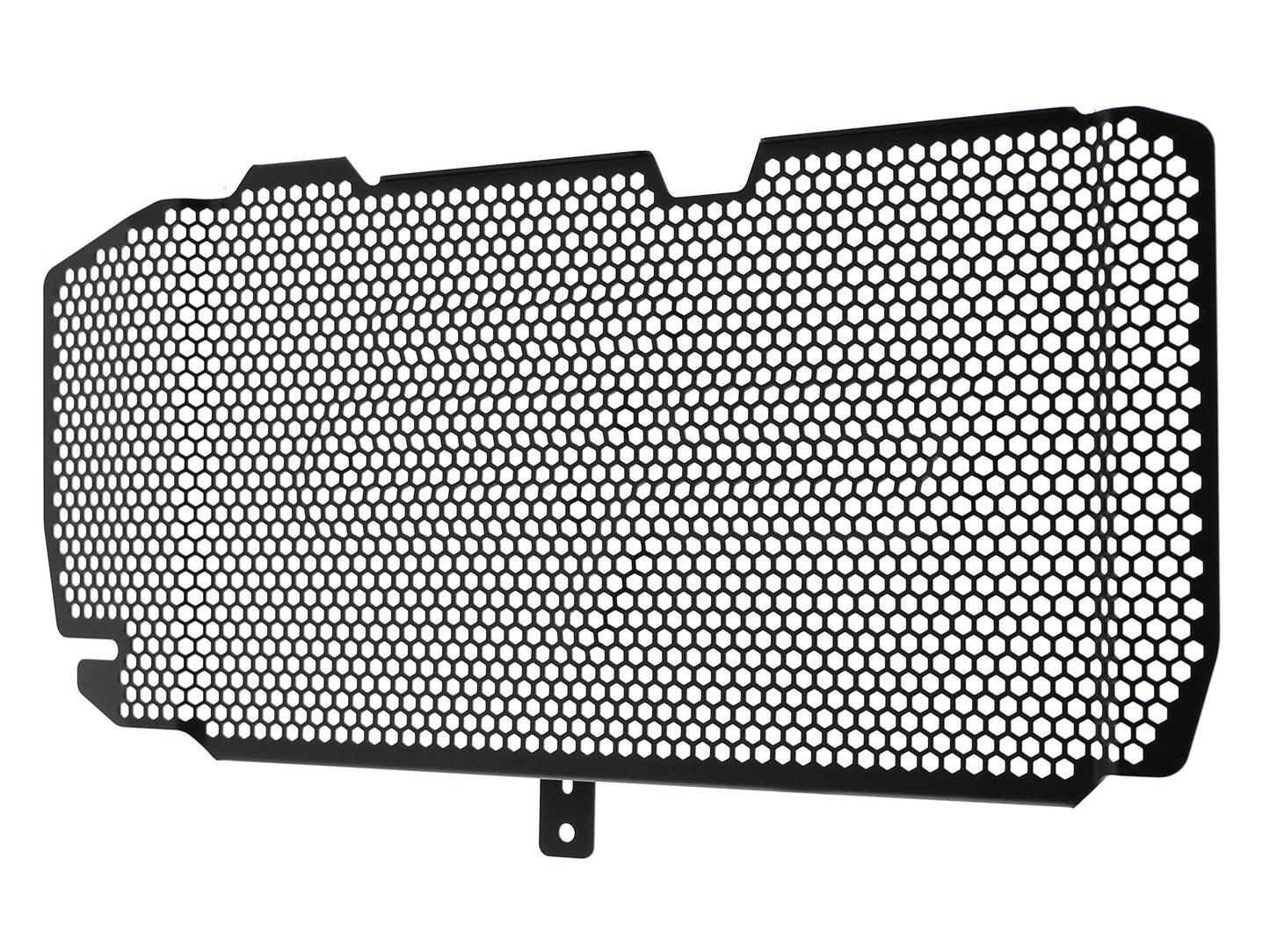 EVOTECH BMW F800R Radiator Guard – Accessories in MotoDeal – Motorcycle Accessories and Parts Online Shop