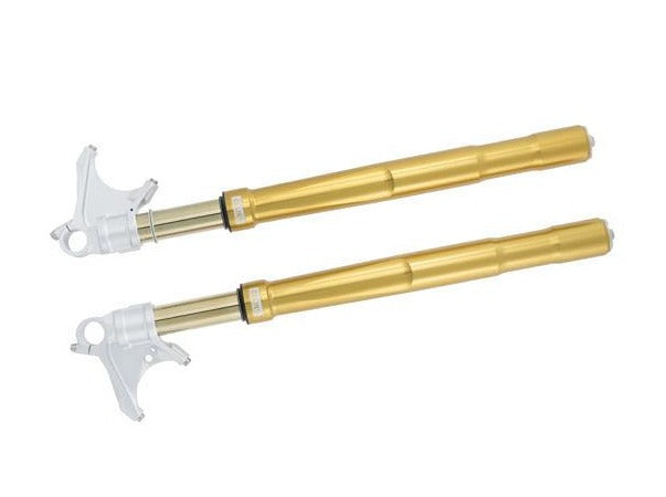 FGRT221 - ÖHLINS Kawasaki Ninja H2 Front Fork