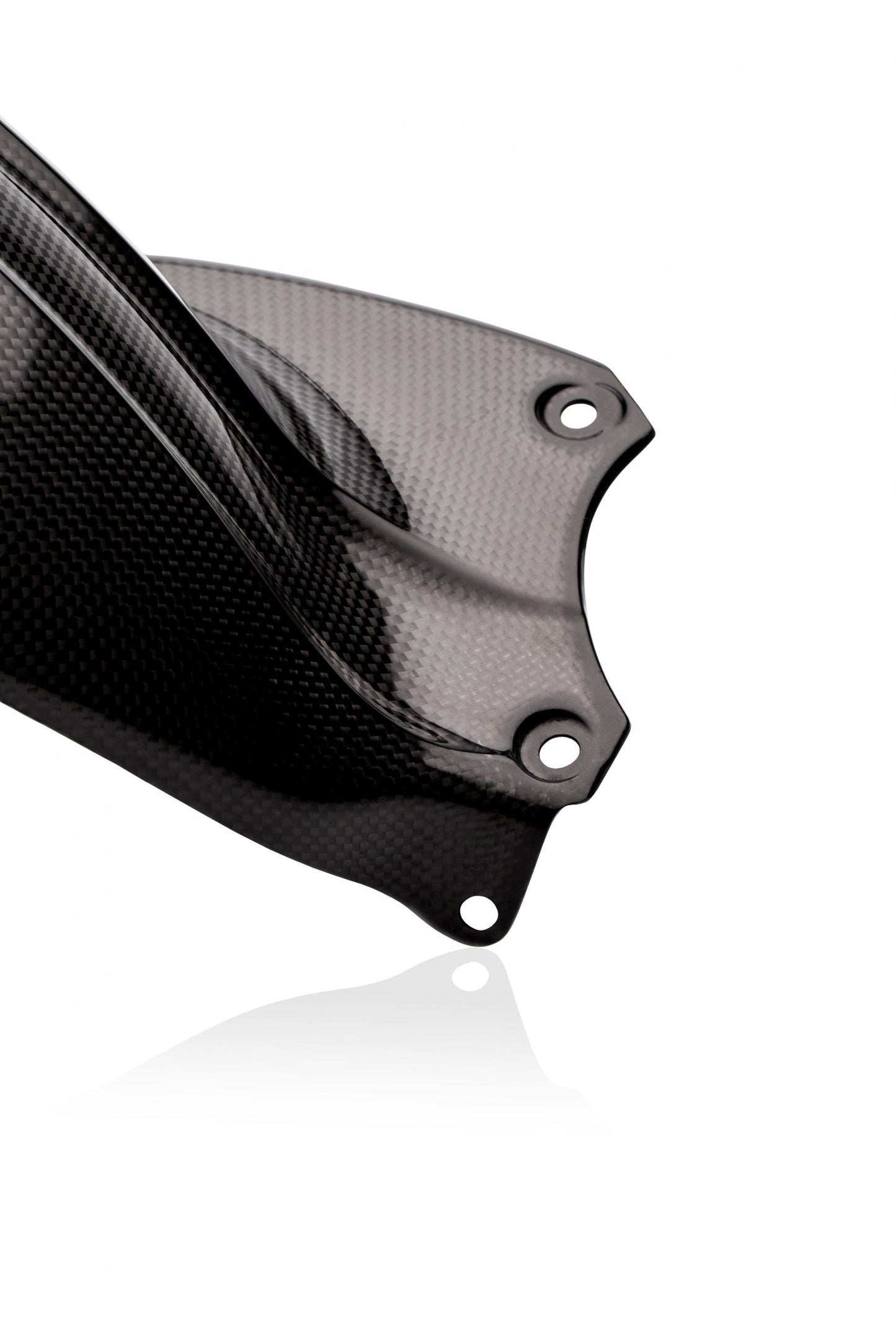 CARBON2RACE Triumph Speed Triple 1050 (11/17) Carbon Rear Hugger