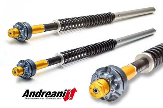 CFD105/D16 - ANDREANI Ducati Scrambler 800 Adjustable Cartridge kit