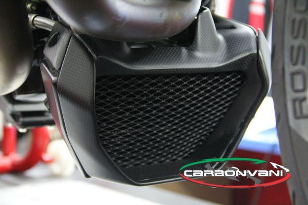 CARBONVANI Ducati Monster 1200/821 (2014+) Carbon Oil Cooler Protection Kit