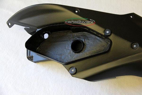 CARBONVANI Ducati Multistrada 1200 Carbon Front Air Inlets Kit