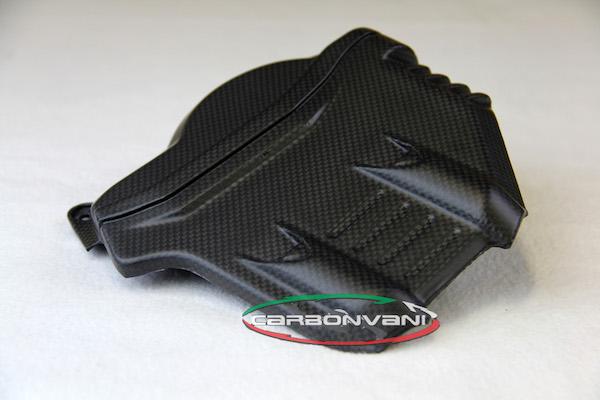 CARBONVANI Ducati Panigale V4 / V4R Carbon Cylinder Covers