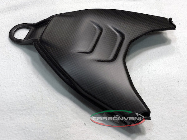 CARBONVANI Ducati Streetfighter V4 Carbon Tail Bottom