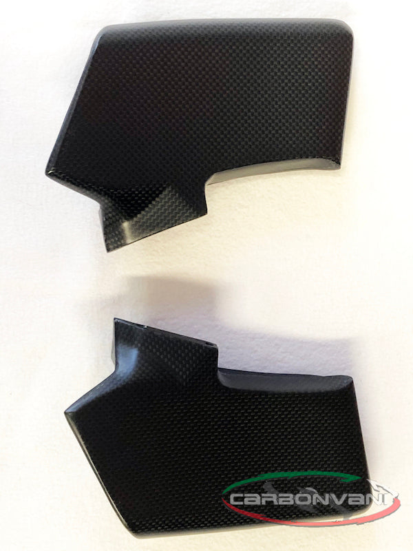 CARBONVANI Ducati Streetfighter V4 Carbon Winglet (left, upper)