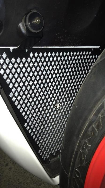 GR01 - DUCABIKE Ducati Panigale V2 / Streetfighter Radiator Guard (lower)