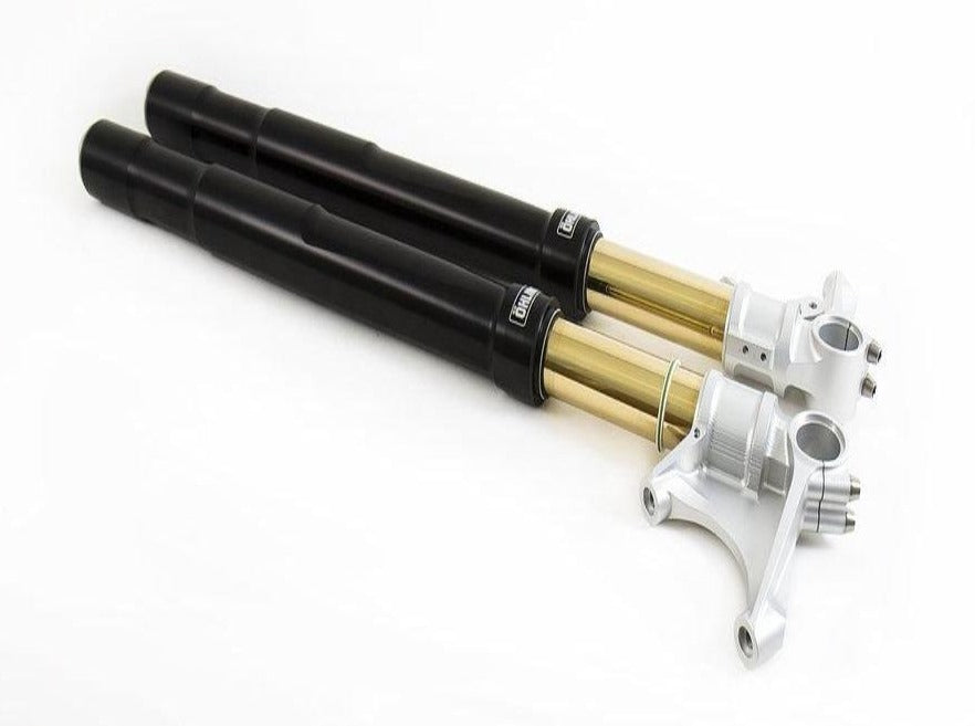 FGRT216 - ÖHLINS BMW R nineT 1170 (13/16) Front Fork