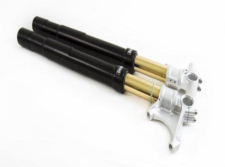 FGRT227 - ÖHLINS BMW R nineT 1170 (2017 – ) Front Fork