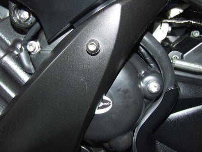 R&G RACING Yamaha YZF-R1/FZ1/FZ8 Alternator Cover Protection (left side)